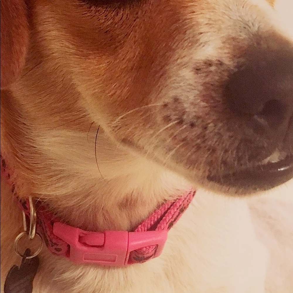 Meet your Posher, Huy